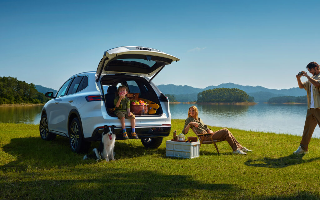 GEELY M AUTOMOCIÓN - híbrido enchufable